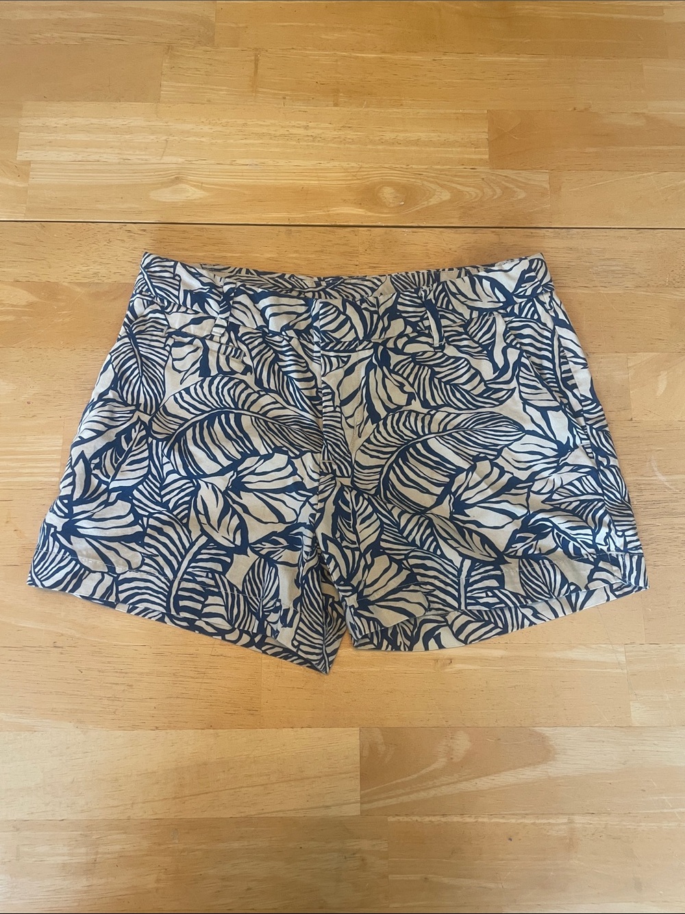 Patagonia Organic Cotton Blue & White Shorts Size 4 🤍💙 - Picture 2 of 7